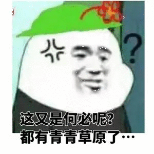 这又是何必呢？都有青青草原了…