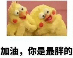 加油，你是最胖的