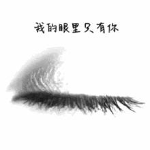 钱的眼里只有你