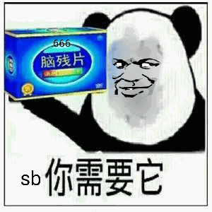 SB你需要它（脑残片）