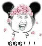 哈哈哈！！