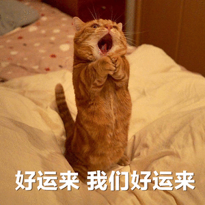 好运来，我们好运来