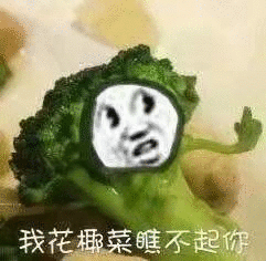 我花郴菜瞧不起你