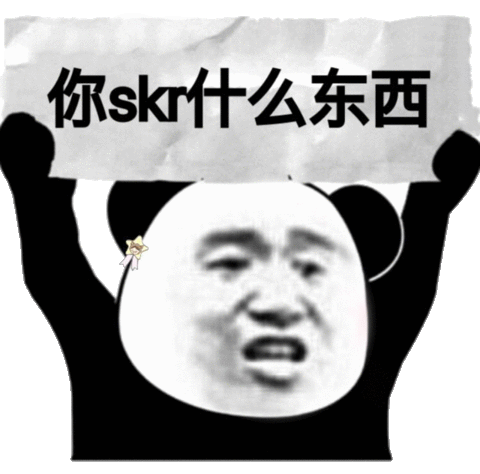 你skr什么东西