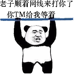 老子顺着网线来打你了，你TM给我等着