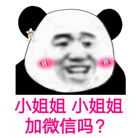 小姐姐小姐姐加微信吗？