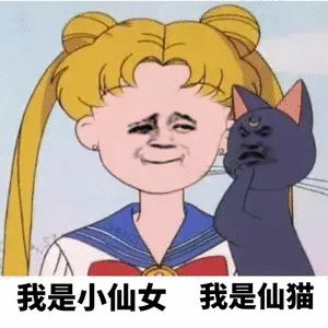 我是小仙女，我是仙猫