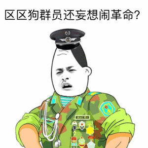 区区狗群员还妄想闹革命？