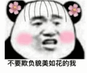 不要欺负貌美如花的我