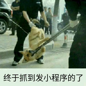 终于抓到发小程序的了