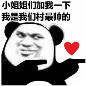 小姐姐们加我一下我是我们村最帅的