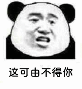 这可由不得你