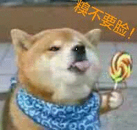 糗不要脸（doge）