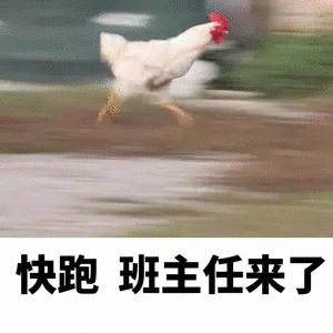 快跑班主任来了