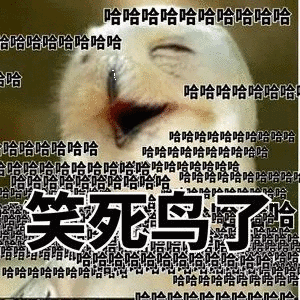 笑死鸟了