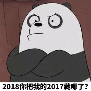 2018你把我的2017藏哪了?