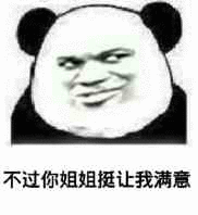 不过你姐姐挺让我满意