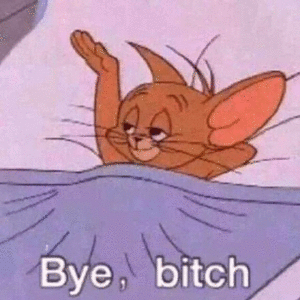 Bye , bitch