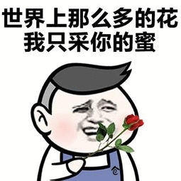 世界上那么多的花我只采你的蜜