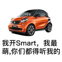 我开Smart，我最萌，你们都得听我的