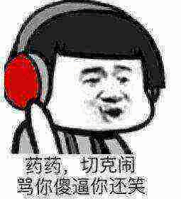 药,切克闹骂你傻逼你还笑