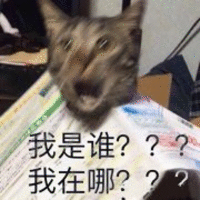 我是谁???我在哪?