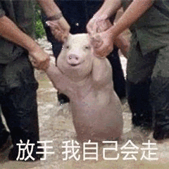 放手我自己会走