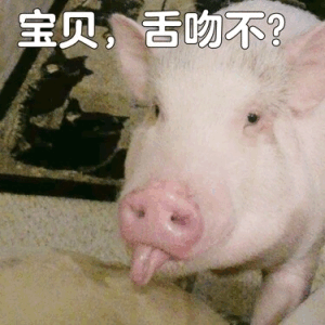 宝贝,舌吻不?