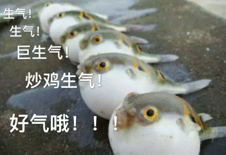 生气！生气！巨生气！炒鸡生气！好气哦！（咸鱼）