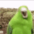 疯狂鹦鹉
