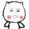 猫脸动动头