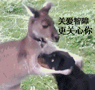 关爱智障，更关心你