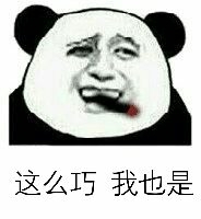 这么巧我也是