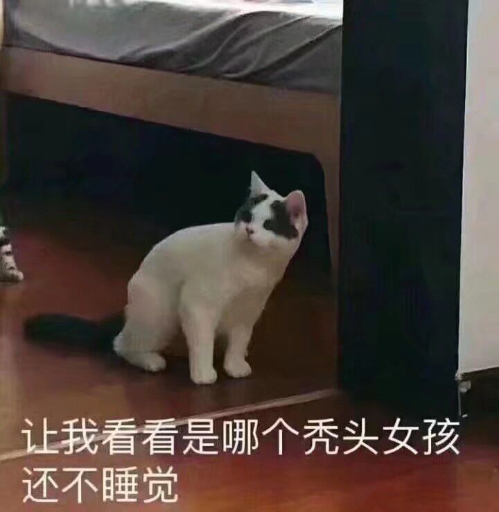 让我看看是哪个秃头，女孩还不睡觉