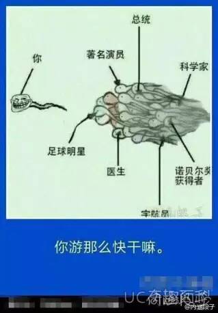 总统、著名演员、科学家、诺贝尔奖、医生、足球明星、宇航员！（你）