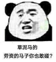 草泥马的，劳资的马子你也敢碰？