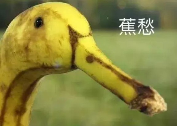 一只香蕉感到很蕉愁