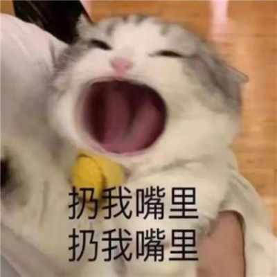 新收集的表情聊天必备 2022热门全新的表情大全