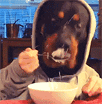 主淫，你这个二逼