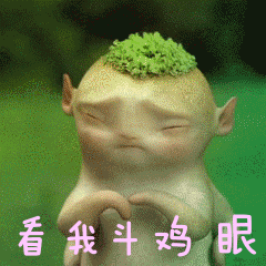 快来，看看我的斗鸡眼