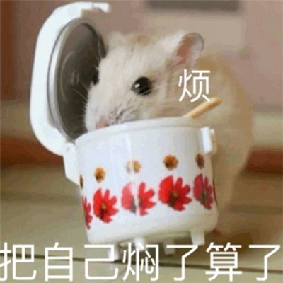 恶搞沙雕的趣味表情合集 听懂了但又没完全听懂