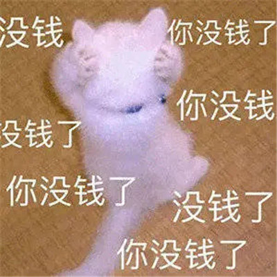 恶搞沙雕的趣味表情合集 听懂了但又没完全听懂