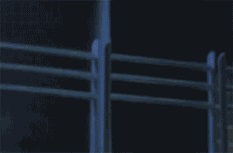 酷哥随手接住眼镜戴上