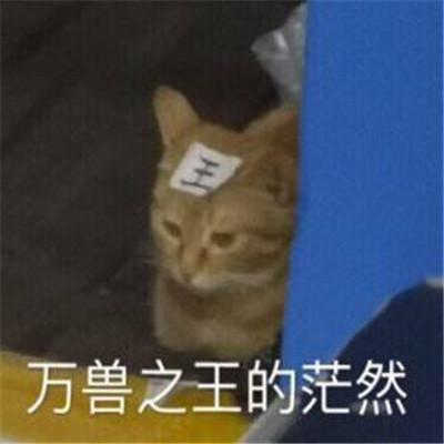 2021可爱沙雕表情包大全 最新热们的聊天表情合集2021