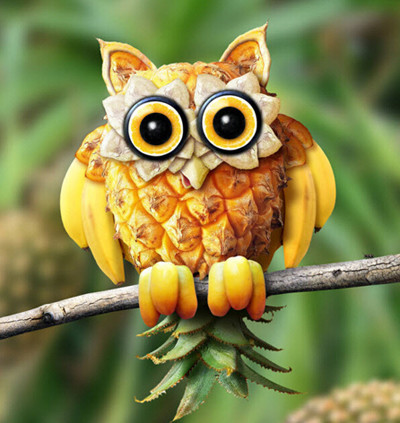菠萝做的猫头鹰