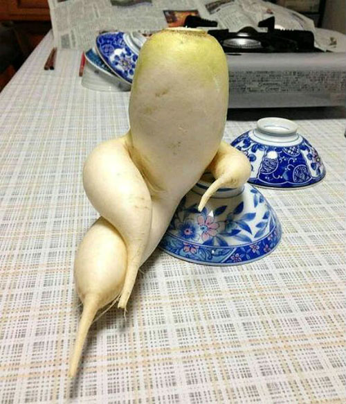 风情万种的萝卜美人