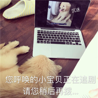 2021一组可做头像的可爱搞怪表情包 爱你的人会让你变成更好的人