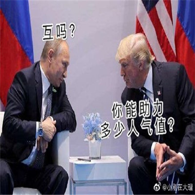 双十一的养猫人表情包 淘宝人气助力PK表情