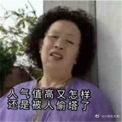 双十一的养猫人表情包 淘宝人气助力PK表情