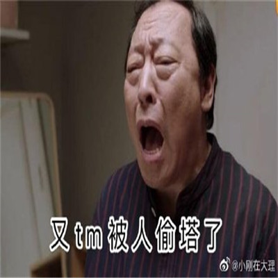 双十一的养猫人表情包 淘宝人气助力PK表情